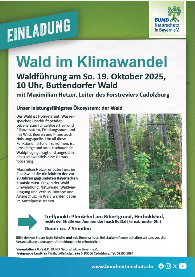 Flyer zu Veranstaltung "Wald im Klimawandel"